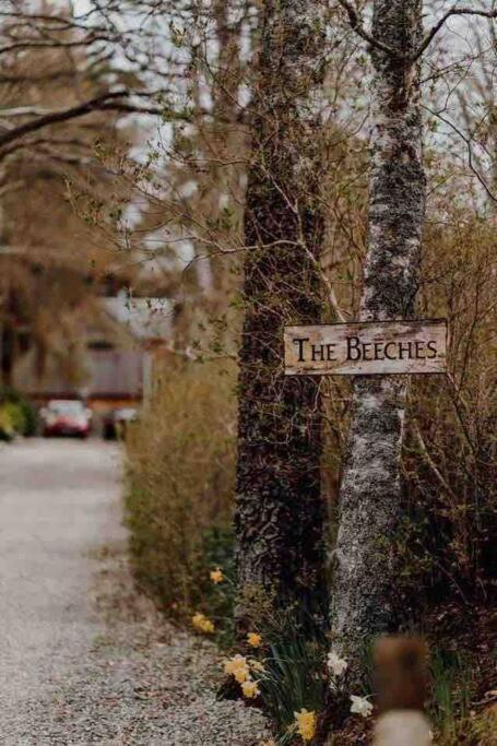 The Beeches Studio, Highlands Of Scotland Newtonmore Eksteriør billede
