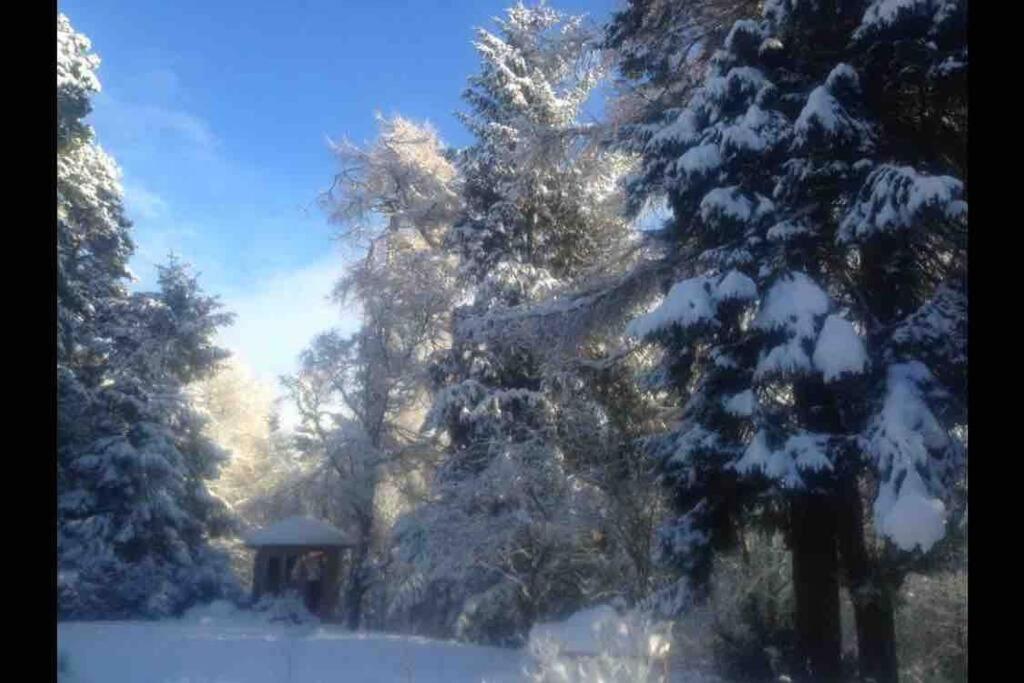 The Beeches Studio, Highlands Of Scotland Newtonmore Eksteriør billede